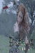 Dragon Age: Redemption